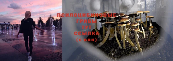трава Алексин