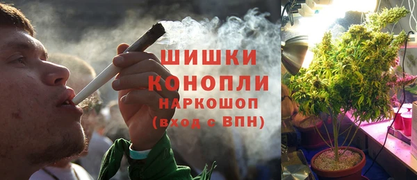 стаф Абаза