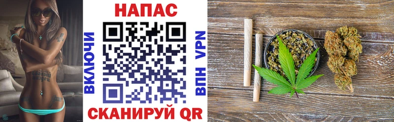 Конопля ГИДРОПОН Опочка